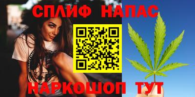 сатива Канаш