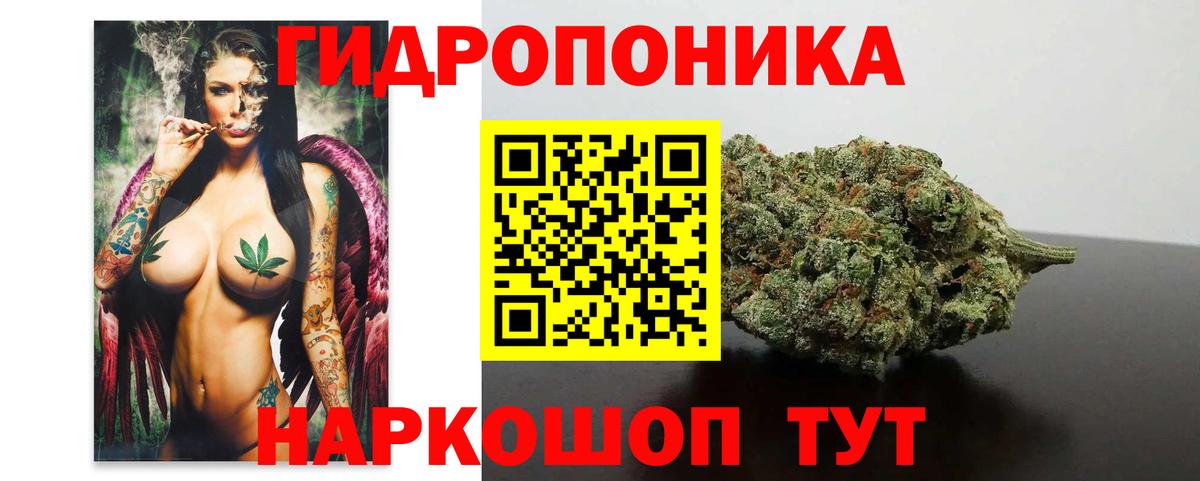 Канабис ГИДРОПОН Армавир